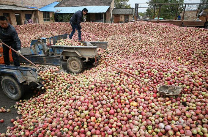 ����YȪ�O���S�Ճr�񱩵� һ�ﲻ��3ë�X